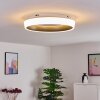 Plafonnier Mackay LED Anthracite, Blanc, 1 lumière