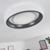 Plafonnier Mackay LED Anthracite, Blanc, 1 lumière