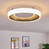 Plafonnier Mackay LED Anthracite, Blanc, 1 lumière