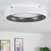 Plafonnier Mackay LED Anthracite, Blanc, 1 lumière