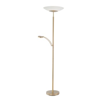 Lampadaire Paul Neuhaus ALFRED LED Laiton, 1 lumière