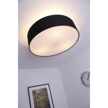 Plafonnier Trio 3033 Nickel mat, Noir, 3 lumières