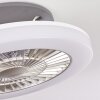 Ventilateur de plafond Somalia LED Argenté, Transparent, 1 lumière