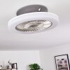 Ventilateur de plafond Somalia LED Argenté, Transparent, 1 lumière