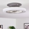 Ventilateur de plafond Somalia LED Argenté, Transparent, 1 lumière