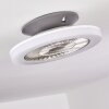 Ventilateur de plafond Somalia LED Argenté, Transparent, 1 lumière