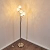 Lampadaire Bernado Nickel mat, 5 lumières