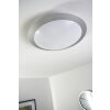 Plafonnier Trio 6265 LED Titane, Blanc, 1 lumière