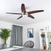 Ventilateur de plafond Imon Bois foncé, Nickel mat, 1 lumière, Télécommandes