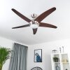 Ventilateur de plafond Imon Bois foncé, Nickel mat, 1 lumière, Télécommandes