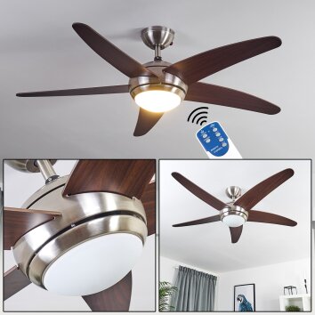 Ventilateur de plafond Imon Bois foncé, Nickel mat, 1 lumière, Télécommandes