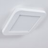 Plafonnier Siguna LED Blanc, 1 lumière