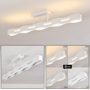 Plafonnier Nagold LED Blanc, 1 lumière