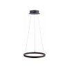 Suspension Paul Neuhaus TITUS LED Anthracite, 1 lumière