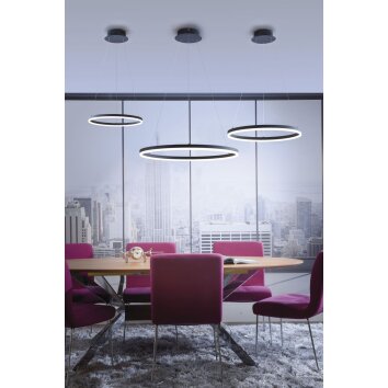 Suspension Paul Neuhaus TITUS LED Anthracite, 1 lumière