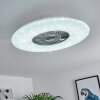 Ventilateur de plafond Petrovac LED Chrome, Blanc, 1 lumière, Télécommandes