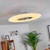 Ventilateur de plafond Petrovac LED Chrome, Blanc, 1 lumière, Télécommandes