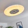 Ventilateur de plafond Petrovac LED Chrome, Blanc, 1 lumière, Télécommandes