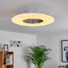 Ventilateur de plafond Petrovac LED Chrome, Blanc, 1 lumière, Télécommandes