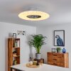 Ventilateur de plafond Petrovac LED Chrome, Blanc, 1 lumière, Télécommandes