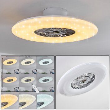 Ventilateur de plafond Petrovac LED Chrome, Blanc, 1 lumière, Télécommandes