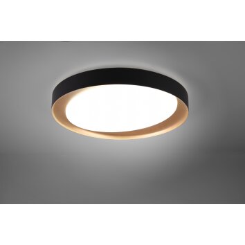 Plafonnier Reality Zeta LED Noir, 1 lumière, Télécommandes