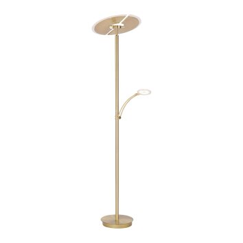 Lampadaire Paul Neuhaus ARTUR LED Laiton, 1 lumière