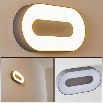 Applique murale d'extérieur Felsted LED Argenté, 1 lumière