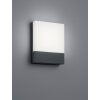 Applique murale d'extérieur Trio PECOS LED Anthracite, 1 lumière