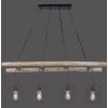 Suspension Leuchten-Direkt EDGAR Noir, 4 lumières