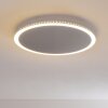 Plafonnier Aitrach LED Argenté, Blanc, 1 lumière