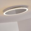 Plafonnier Aitrach LED Argenté, Blanc, 1 lumière