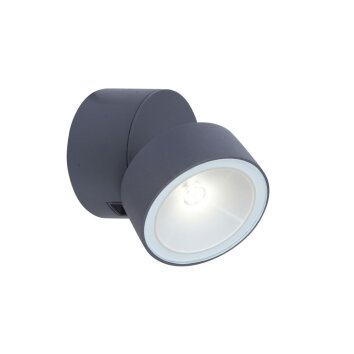 Applique murale d'extérieur Lutec TRUMPET LED Anthracite, 1 lumière