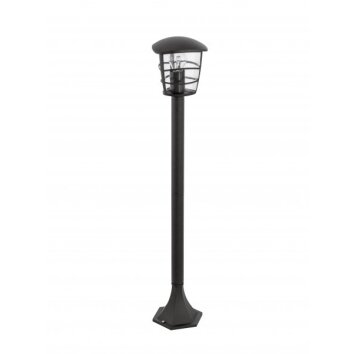 Lampadaire extérieur Eglo ALORIA Noir, 1 lumière