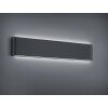 Applique murale d'extérieur Trio Leuchten THAMES II LED Anthracite, 2 lumières