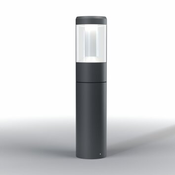 Borne lumineuse LEDVANCE ENDURA Noir, 1 lumière