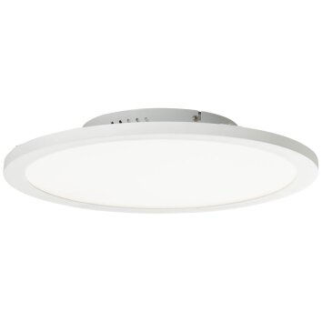 Plafonnier Brilliant Abie LED Blanc, 1 lumière, Télécommandes, Changeur de couleurs