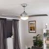 Ventilateur de plafond Sanford Argenté, 1 lumière, Télécommandes