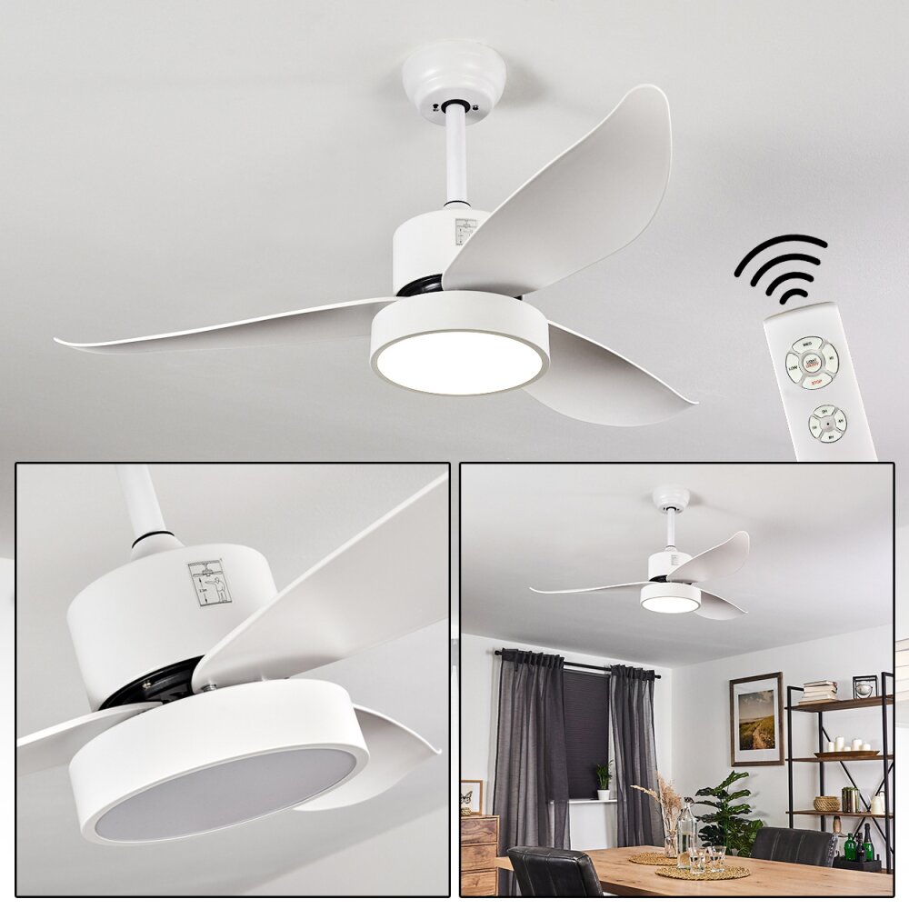 Ventilateur de plafond Doha LED Blanc, 1 lumière, Télécommandes