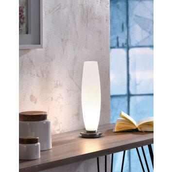 Lampe à poser Paul Neuhaus TYRA LED Acier inoxydable, 1 lumière