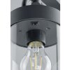 Borne lumineuse Trio Leuchten SAMBESI Anthracite, 1 lumière