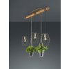 Suspension Trio Plant LED Brun foncé, Nickel mat, 3 lumières