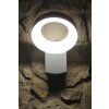 Applique murale d'extérieur Konstsmide ASTI LED Acier inoxydable, 1 lumière