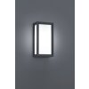 Applique murale d'extérieur Trio TIMOK Anthracite, 1 lumière