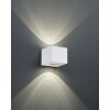 Applique murale d'extérieur Reality CORDOBA LED Blanc, 2 lumières