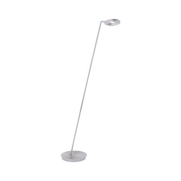 Lampadaire Paul Neuhaus MARTIN LED Acier inoxydable, 1 lumière