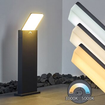 Borne lumineuse Heraklion LED Anthracite, 1 lumière