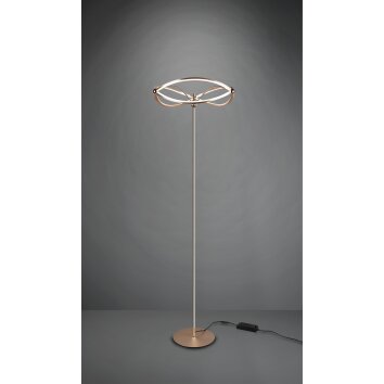 Lampadaire Trio Charivari LED Laiton, 1 lumière