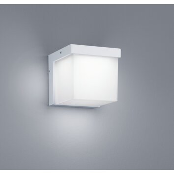 Applique murale d'extérieur Trio YANGTZE LED Blanc, 1 lumière