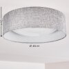 Plafonnier Tallaboa LED Blanc, 1 lumière